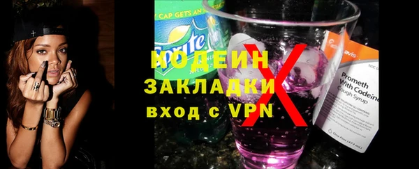 индика Карпинск