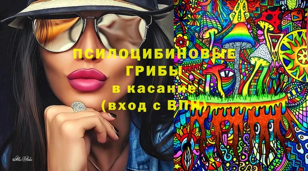 индика Карпинск