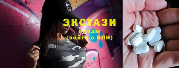 индика Карпинск