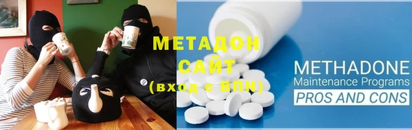 индика Карпинск