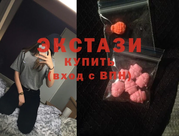 индика Карпинск