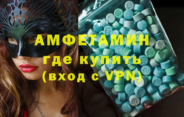 индика Карпинск