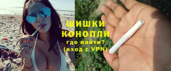 индика Карпинск