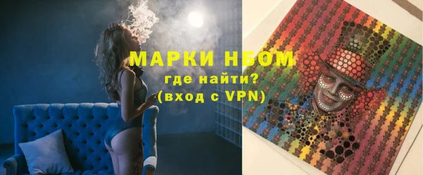 индика Карпинск